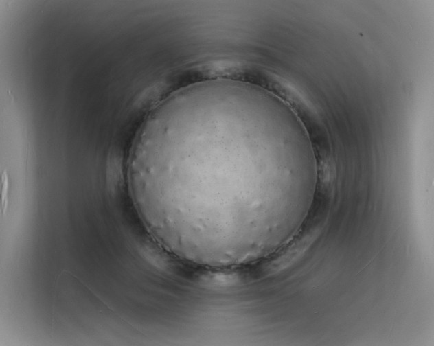 X0000112140506200908071058