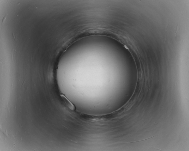 X0000112140508200908071058