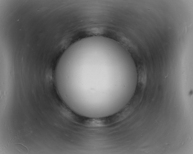 X0000112140518200908071058