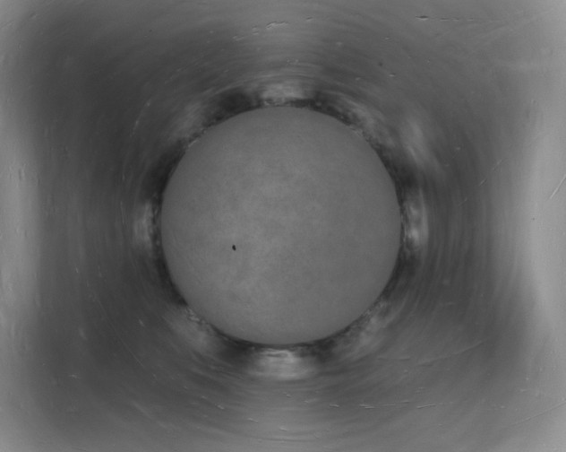 X0000112140519200908071058