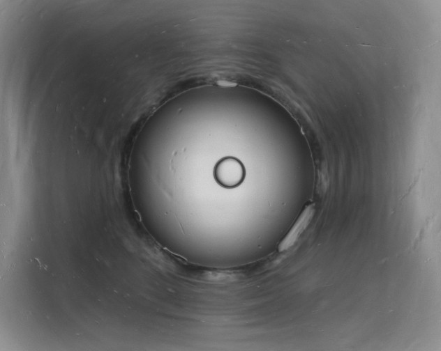 X0000112140520200908071058