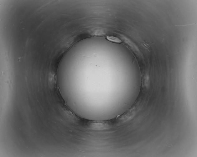X0000112140521200908071058