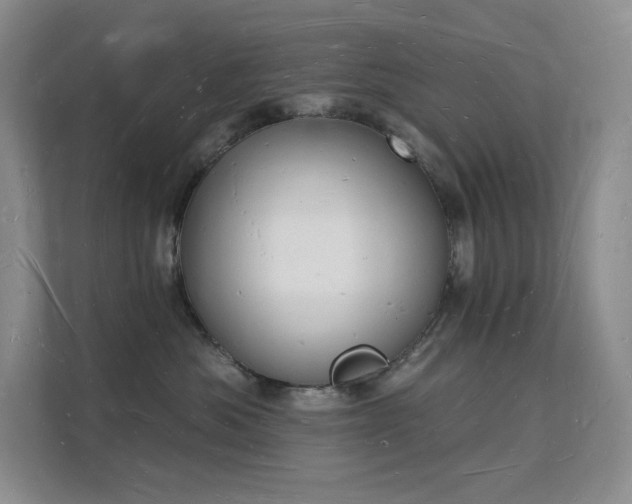 X0000112140525200908071058