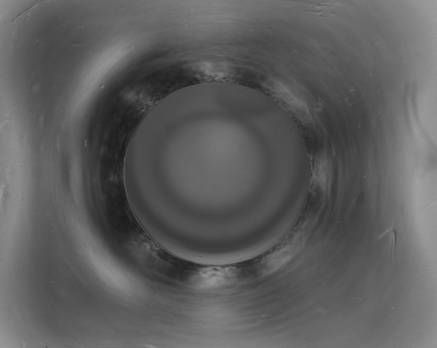 X0000112140526200908071058