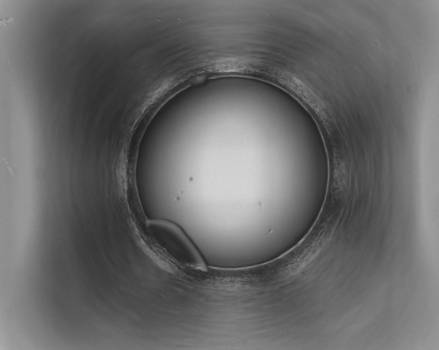 X0000112140530200908071057
