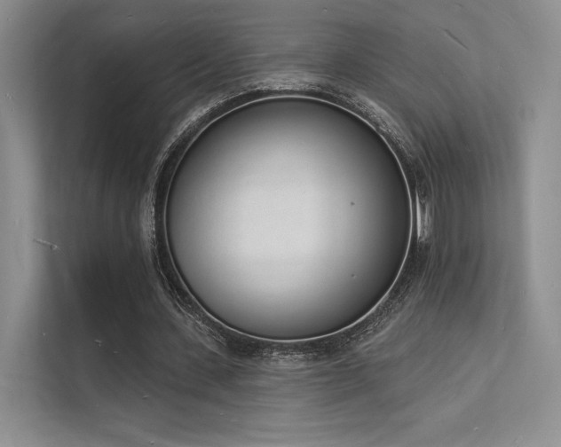 X0000112140531200908071058