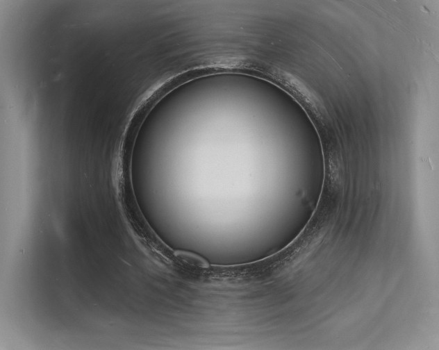 X0000112140532200908071058