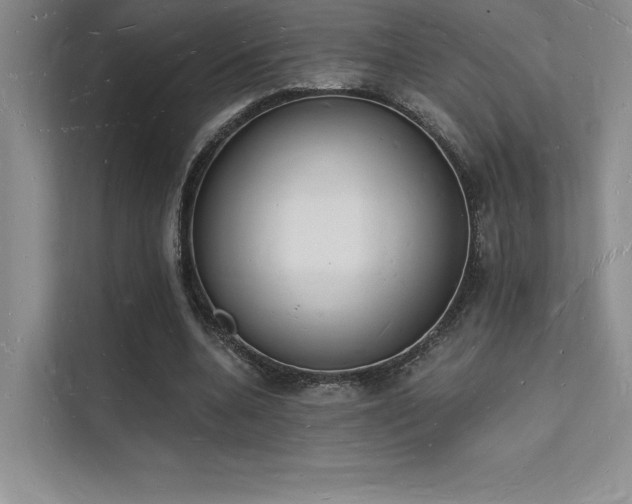 X0000112140536200908071058