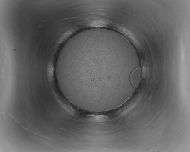 X0000112140539200908071058