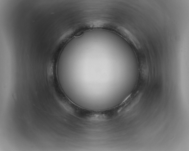 X0000112140543200908071058