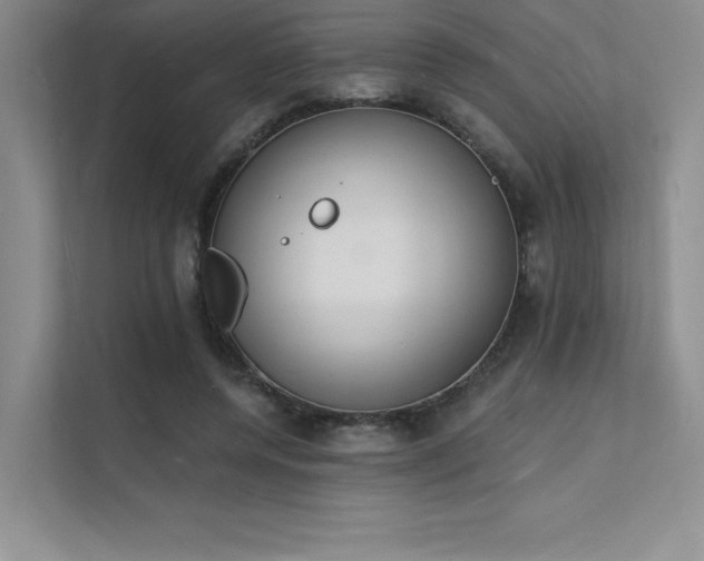 X0000112140544200908071058