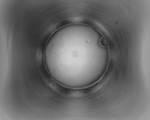 X0000112140549200908071058