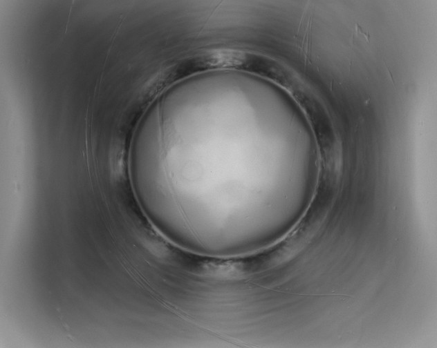X0000112140553200908071058