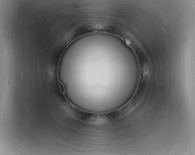 X0000112140559200908071058