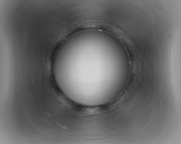 X0000112140560200908071058