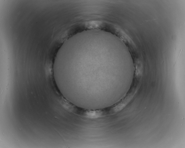 X0000112140561200908071058