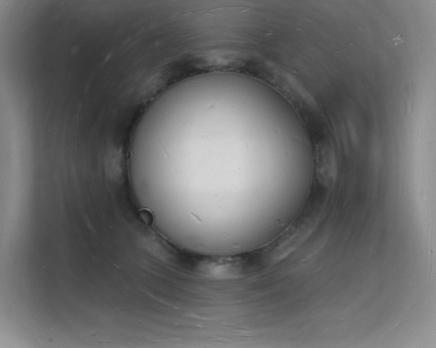 X0000112140563200908071058