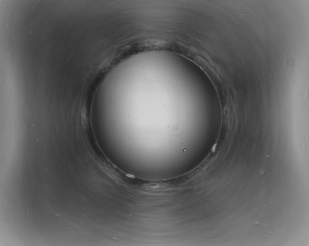 X0000112140564200908071058