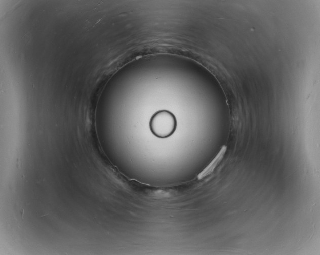 X0000112140566200908071058