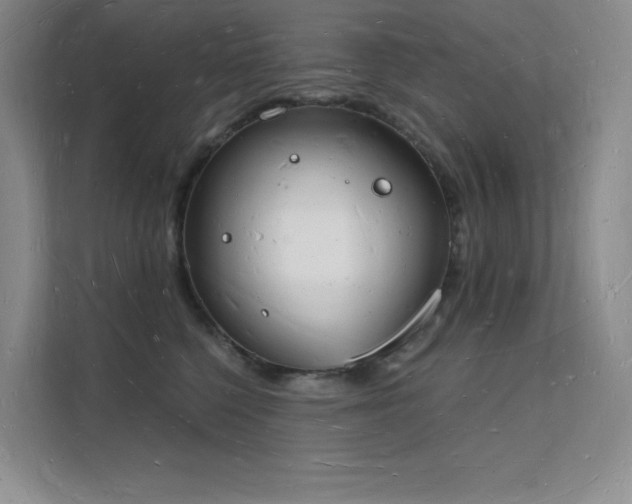 X0000112140568200908071058