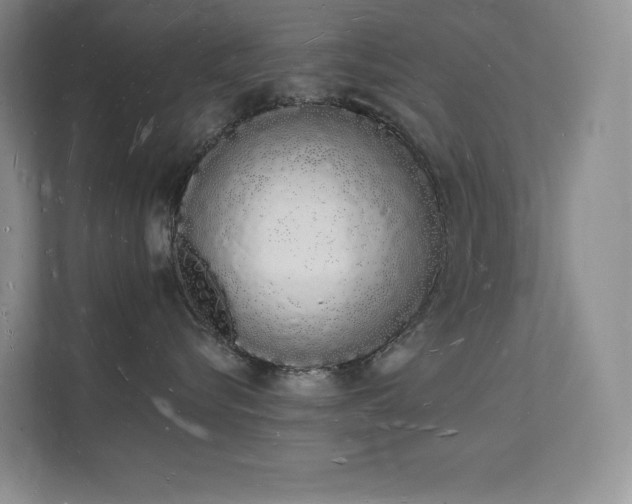 X0000112140576200908071058