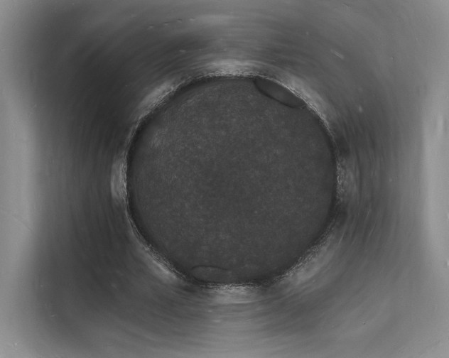X0000112140581200908071057