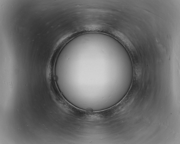 X0000112140583200908071057