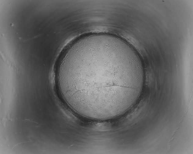 X0000112140584200908071057