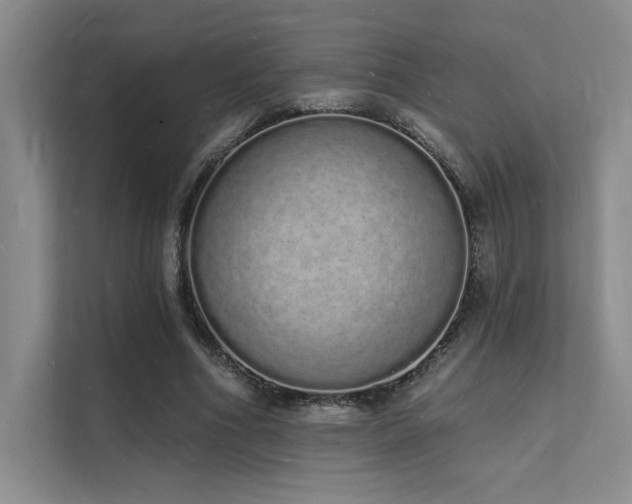 X0000112140586200908071057