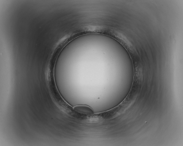 X0000112140587200908071057