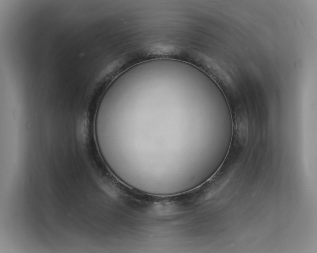 X0000112140591200908071057