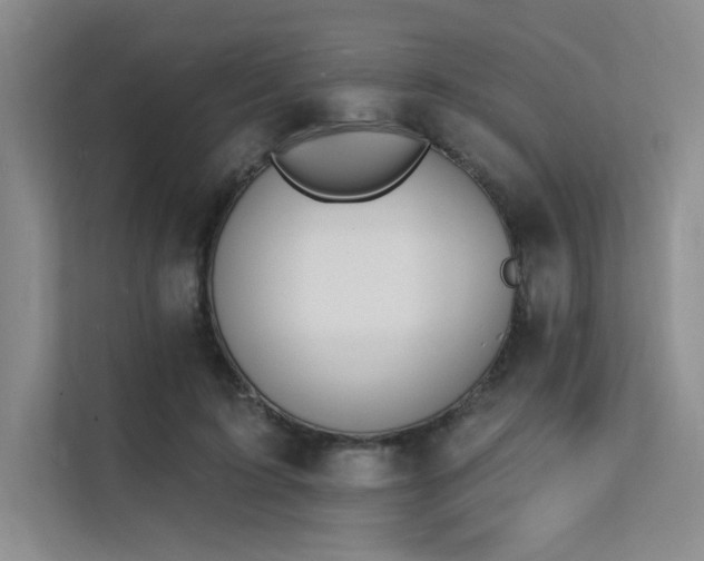 X0000112140595200908071057