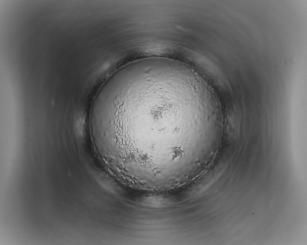 X0000112140596200908071057