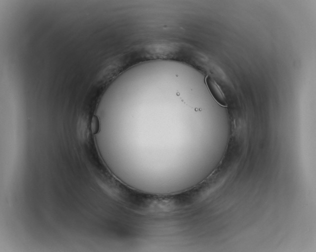 X0000112140599200908071057