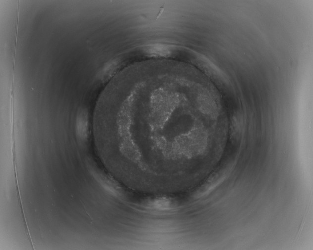X0000112140600200908071057