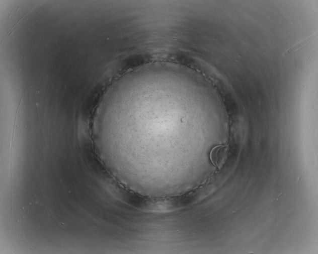 X0000112140610200908071057
