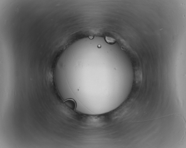 X0000112140613200908071057