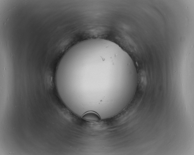 X0000112140615200908071057