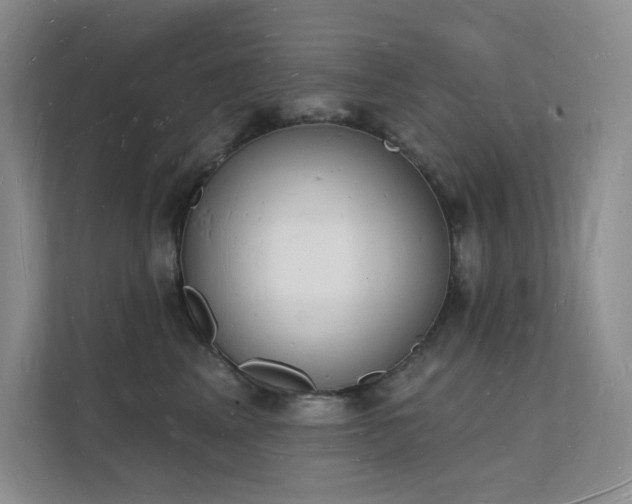 X0000112140617200908071057