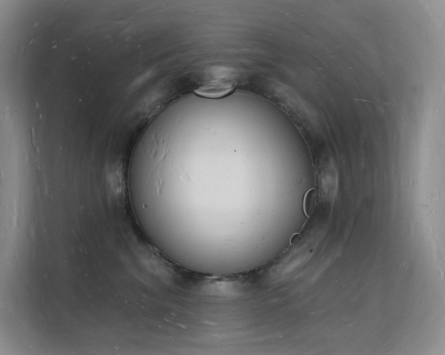X0000112140620200908071057