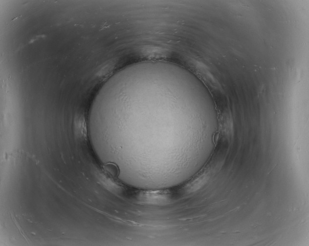 X0000112140622200908071057