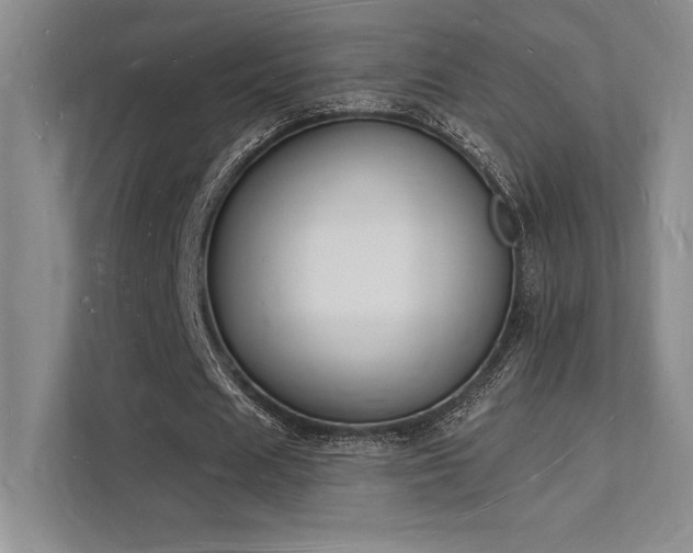 X0000112140625200908071056