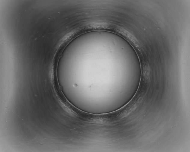 X0000112140629200908071056