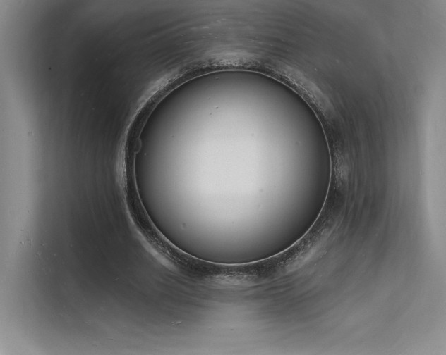 X0000112140630200908071056