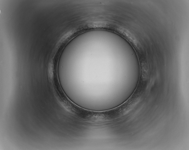 X0000112140631200908071056