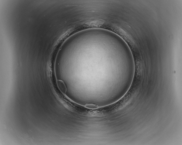 X0000112140634200908071056