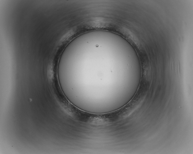 X0000112140635200908071056