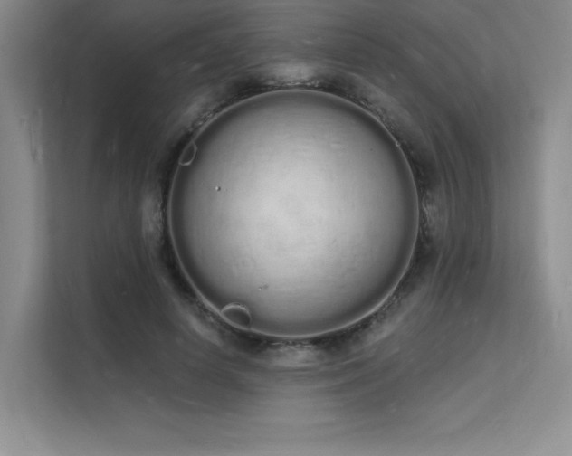 X0000112140642200908071056