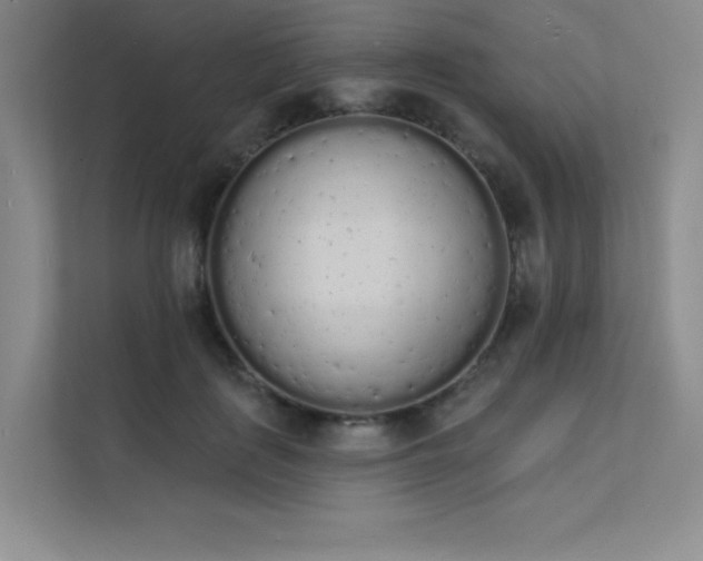 X0000112140651200908071057