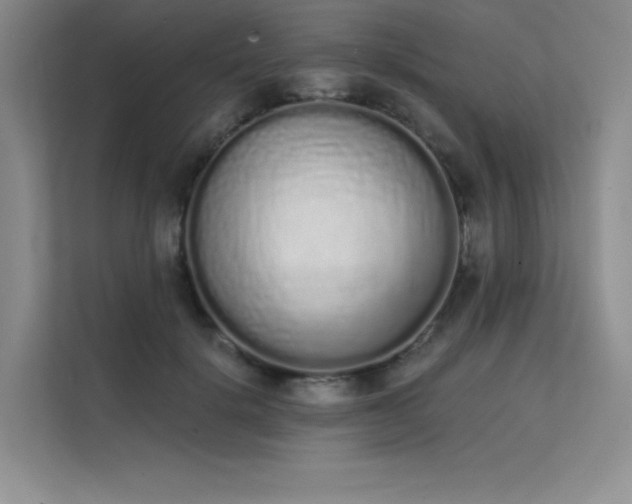 X0000112140652200908071057